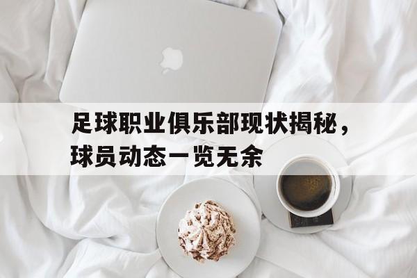 足球职业俱乐部现状揭秘，球员动态一览无余的简单介绍