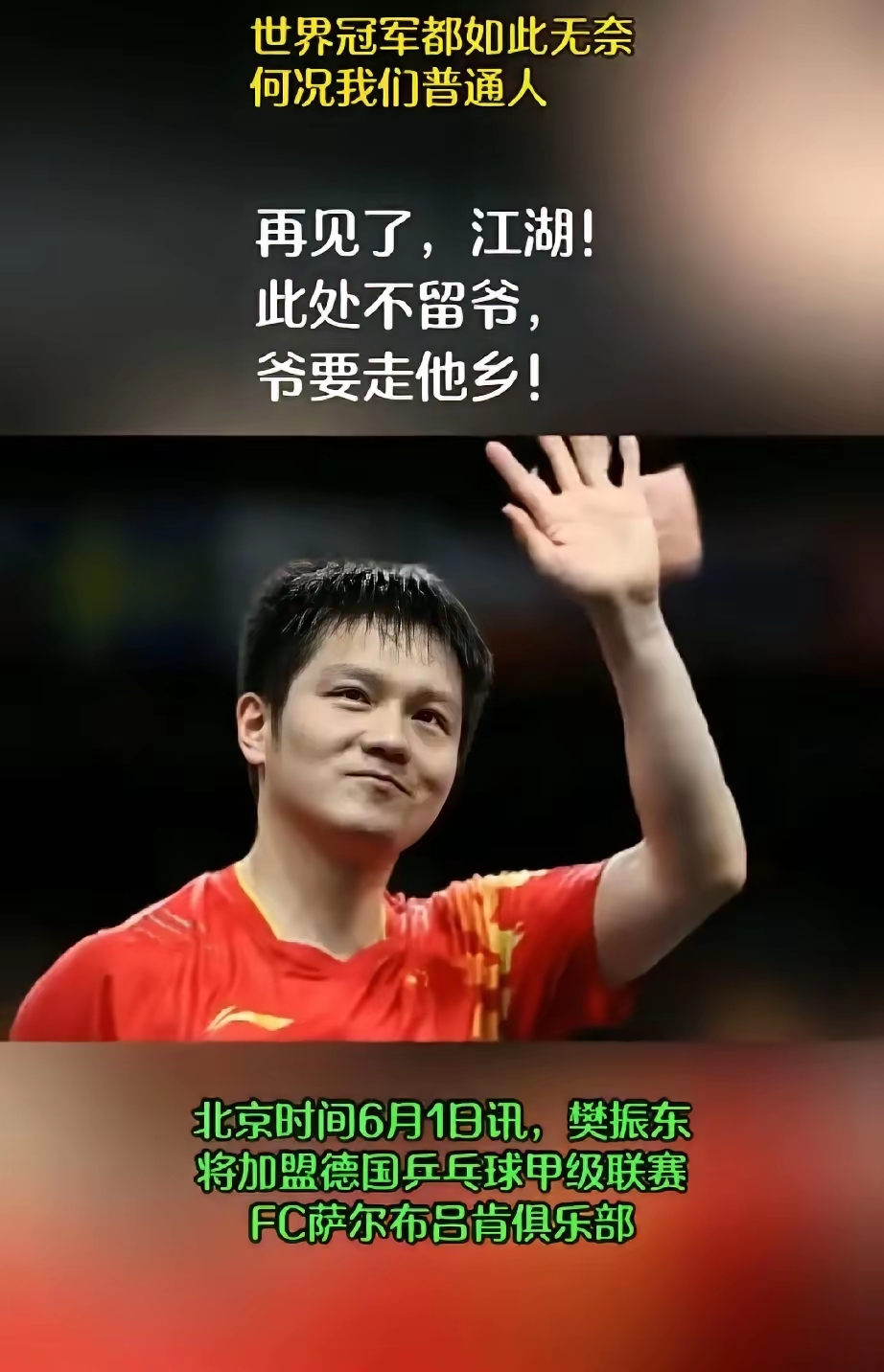 瑞典队碾压德国队，樊振东关键制胜的简单介绍