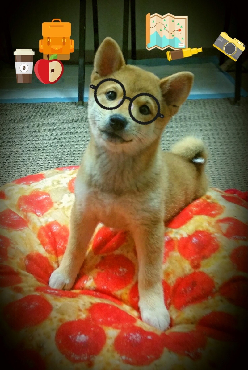 班凯罗的节奏魔法，活塞如何以团队之力偷走绿军胜利