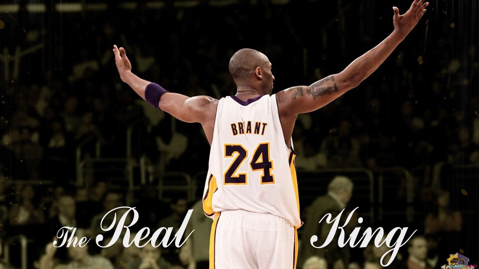 街道狂飙与骑士对决,F1焦点战与辽宁队的胜利启示